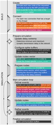 The NEST Dry-Run Mode: Efficient Dynamic Analysis of Neuronal Network Simulation Code